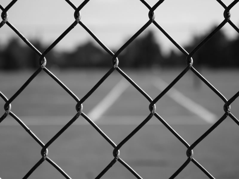 Chain Link Fence